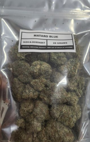 Mataro Blue photo review
