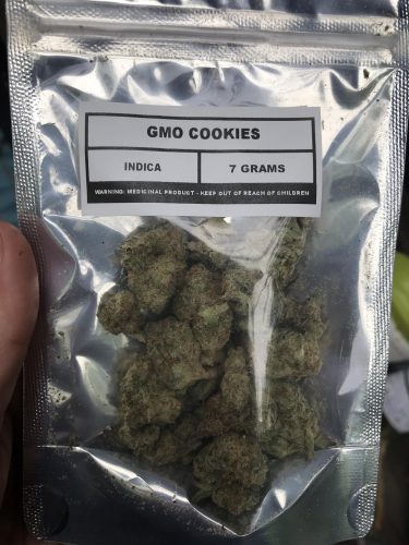 GMO Cookies photo review