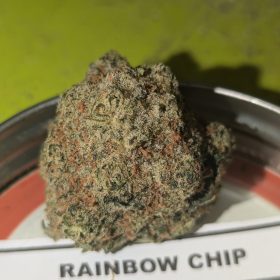 Rainbow Chip photo review