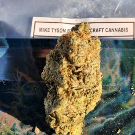 Mike Tyson by Pluto Craft Cannabis photo review