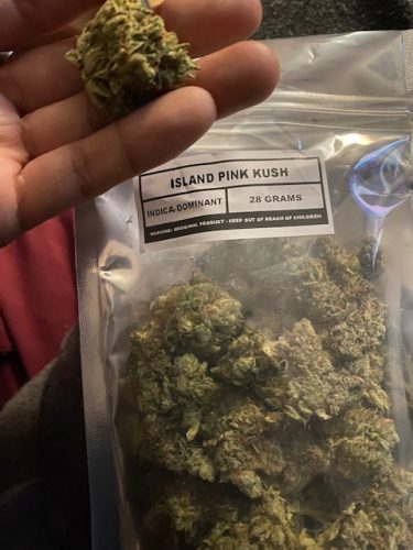 Island Pink Kush photo review