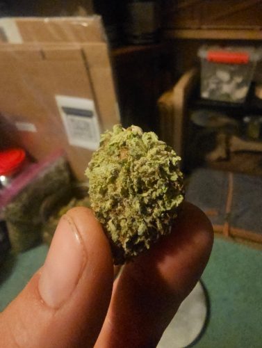 Diamond Kush photo review