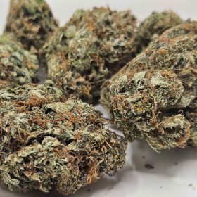 Tuna Kush photo review