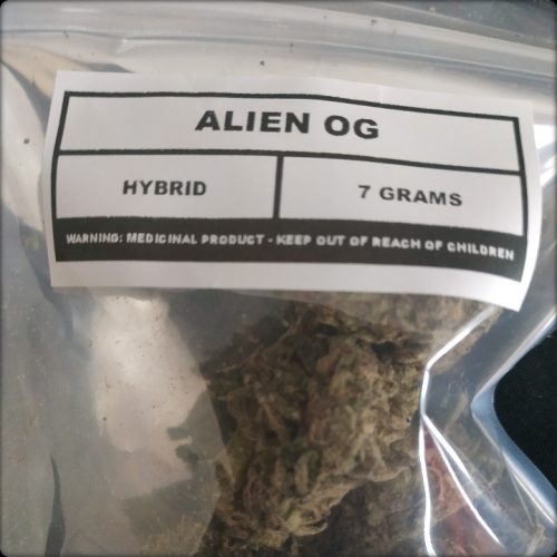 Alien OG photo review