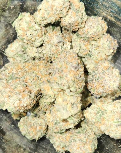 Forum Cut Girl Scout Cookies photo review