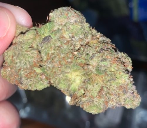 Astro Pink Kush by Pluto Craft Cannabis photo review