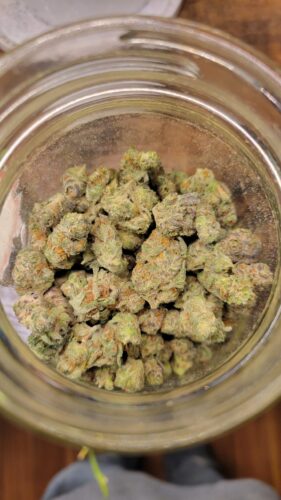 Popcorn Buds photo review