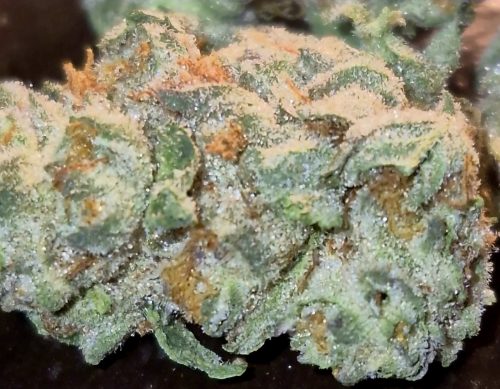 Popcorn Buds photo review