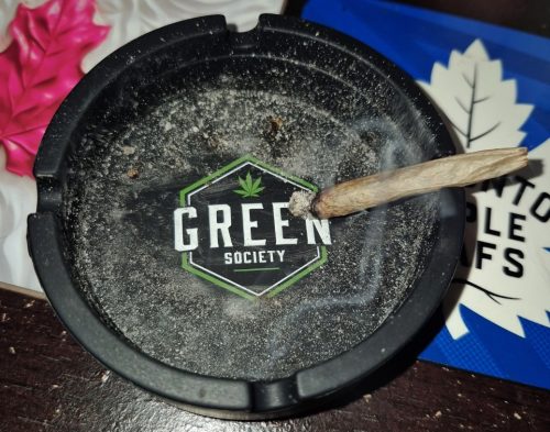 Green Society Ash Tray photo review