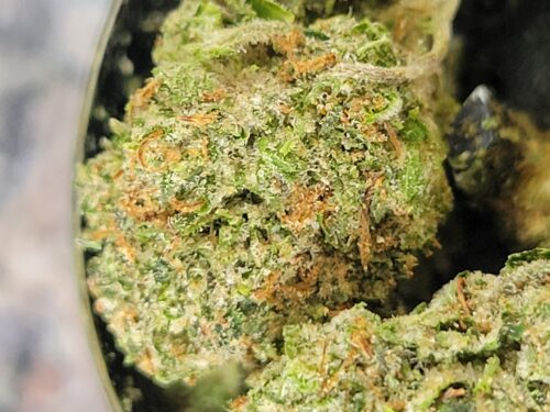 Popcorn Buds photo review