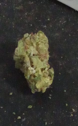 Popcorn Buds photo review