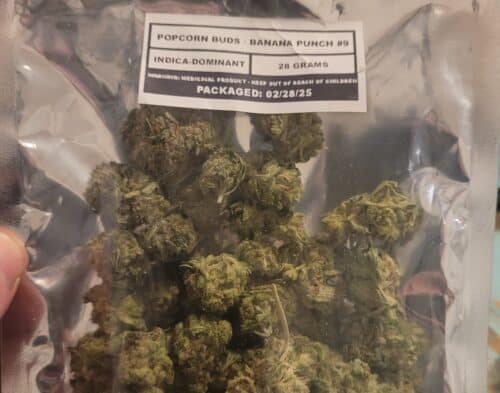 Popcorn Buds photo review