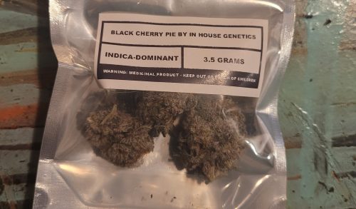 Black Cherry Pie by In House Genetics photo review