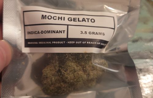 Mochi Gelato photo review