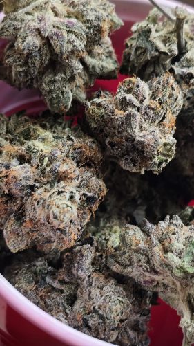 Black Gas by Pluto Craft Cannabis photo review