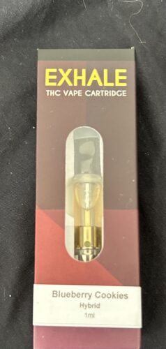 XO Extracts Shatter Carts photo review