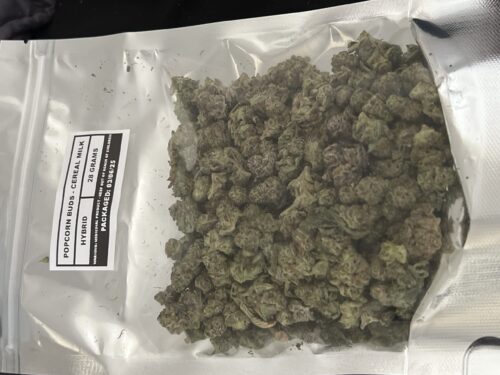 Popcorn Buds photo review