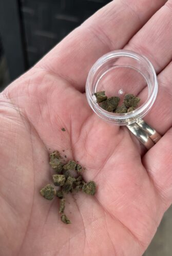 Hash - Rolex photo review