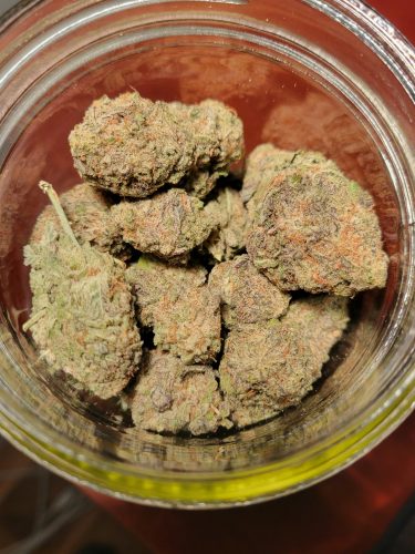 Click to view full screen Miracle Alien Cookies #10 photo review