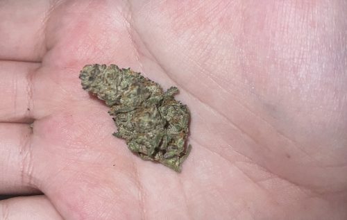 Popcorn Buds photo review