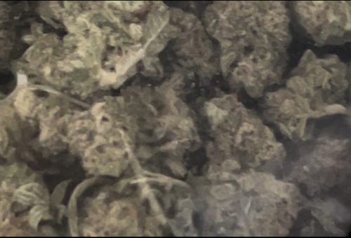 Popcorn Buds photo review