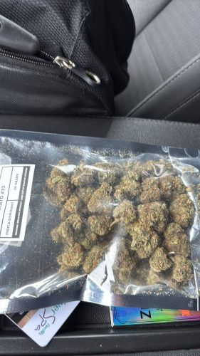 Gelato #33 photo review