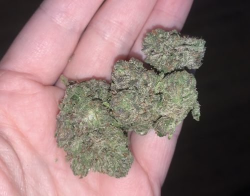 Click to view full screen Gorilla Haze photo review