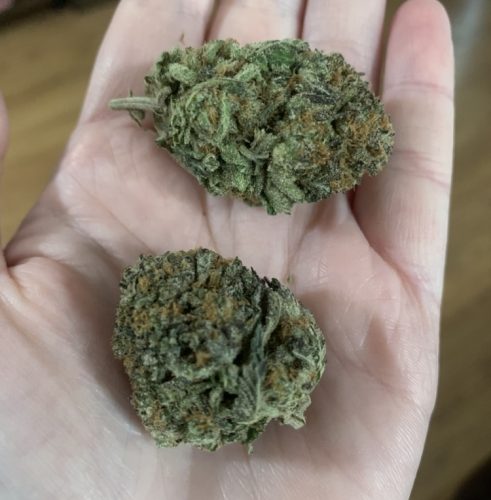 Click to view full screen Indica Crystal Extreme photo review
