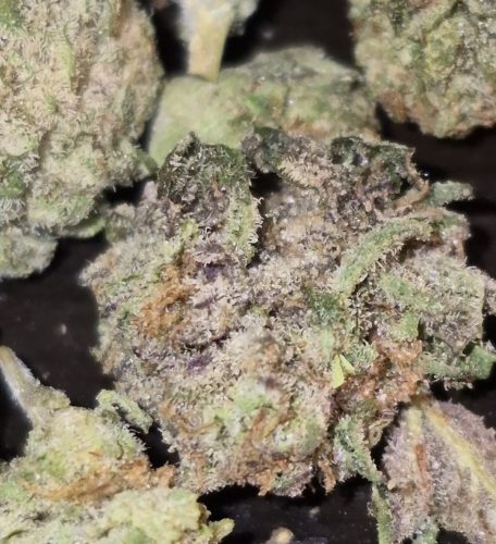 Click to view full screen Popcorn Buds photo review