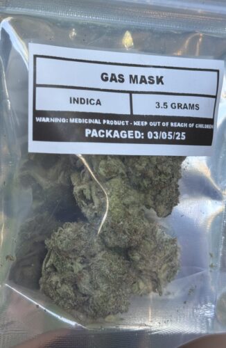 Gas Mask photo review