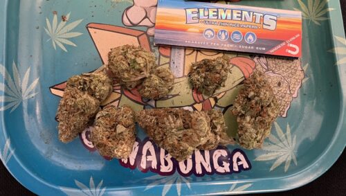 OG Diesel Kush photo review