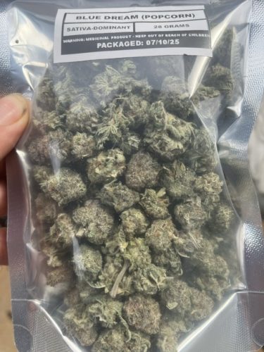 Blue Dream (Popcorn) photo review