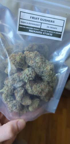 Fruit Gushers (BOGO) photo review