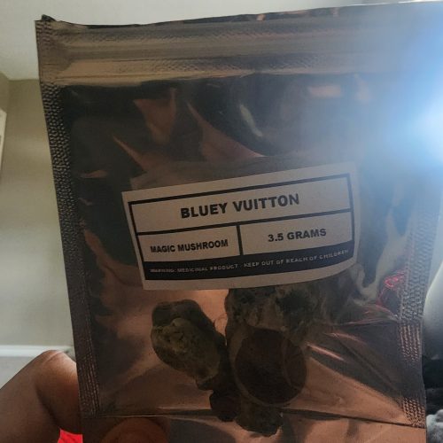 Bluey Vuitton photo review