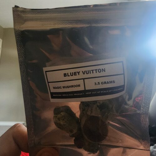 Bluey Vuitton photo review