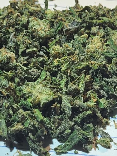 AAA+ Trim photo review