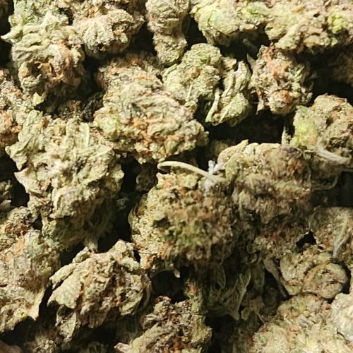 Tuna Kush (Popcorn) photo review