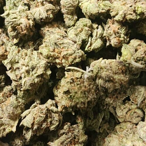 Tuna Kush (Popcorn) photo review