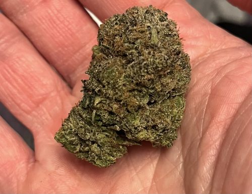 Death Master photo review
