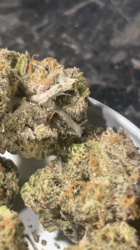 Jelly Donut (BOGO) photo review