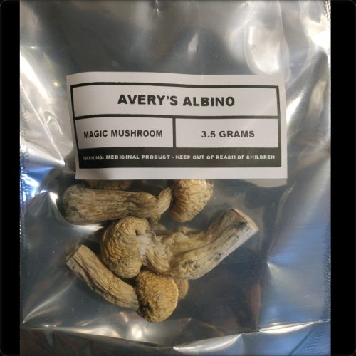 Avery's Albinos photo review