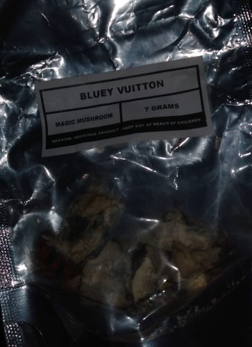 Bluey Vuitton photo review
