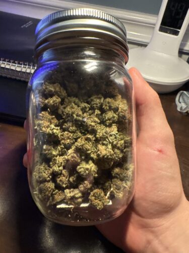 Tuna Kush (Popcorn) photo review