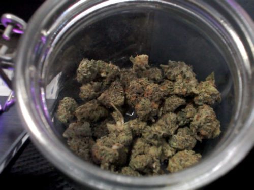 Bio-Diesel (Popcorn) photo review