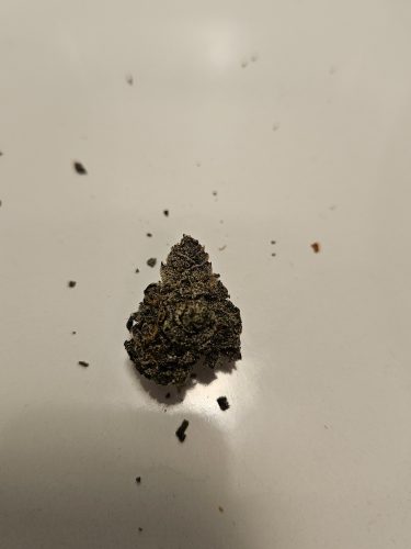 Grape Cake (BOGO) photo review