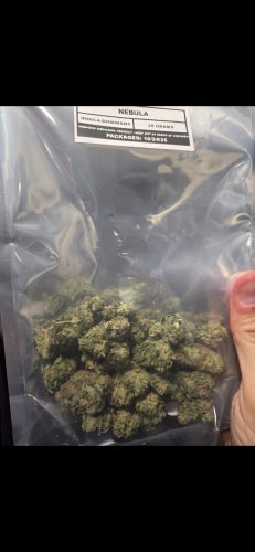 Nebula (Smalls) photo review