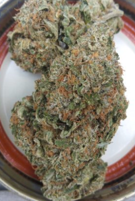 King Louis XIII (Smalls) photo review