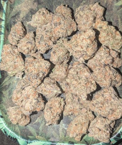 Skunk #1 photo review