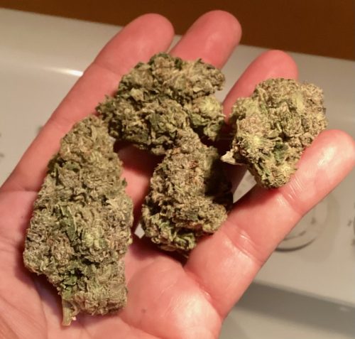 Fatso by Pluto Craft Cannabis photo review