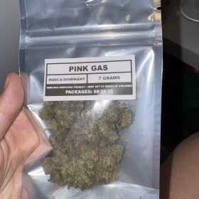 Pink Gas photo review